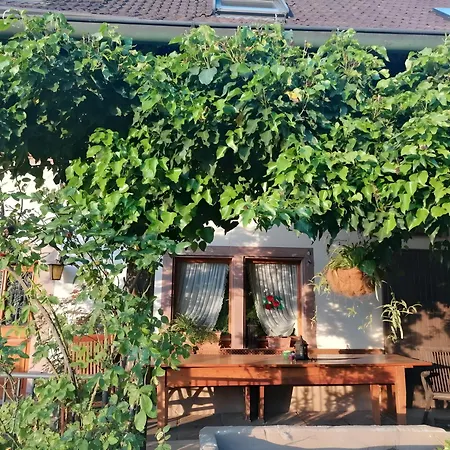 Small Ivy ゲストハウス